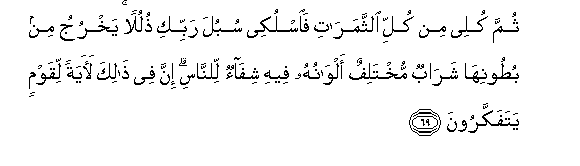 Image of verse in Arabic