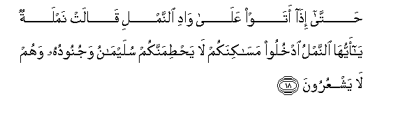 Image of verse in Arabic