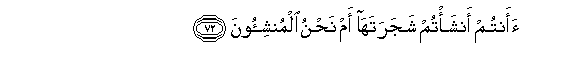 Image of verse in Arabic