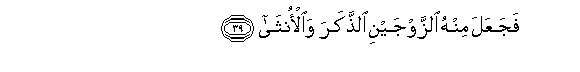 Image of verse in Arabic